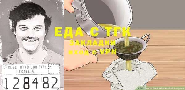 шишки Верхний Тагил