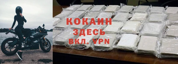 шишки Верхний Тагил