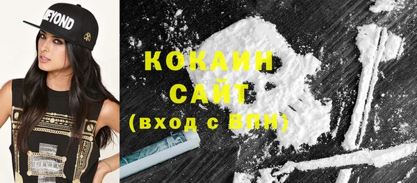 шишки Верхний Тагил