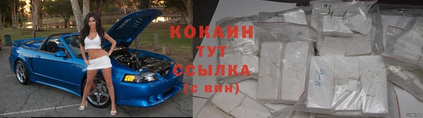 шишки Верхний Тагил