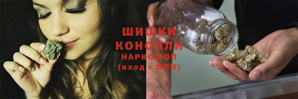 шишки Верхний Тагил