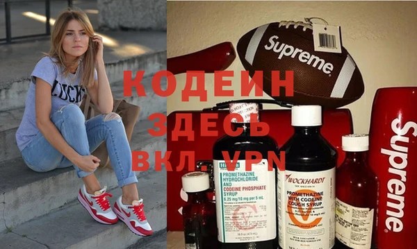 шишки Верхний Тагил